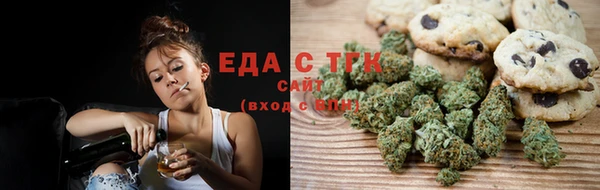 шишки Заводоуковск