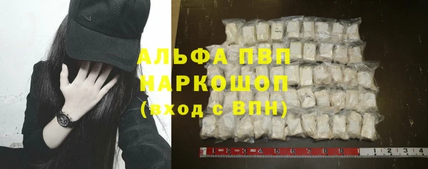 шишки Заводоуковск