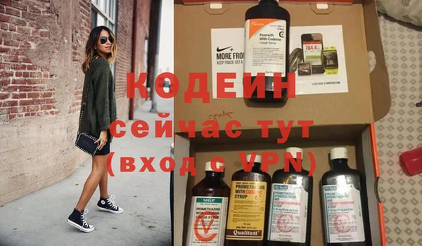 шишки Заводоуковск