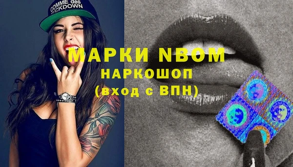 шишки Заводоуковск
