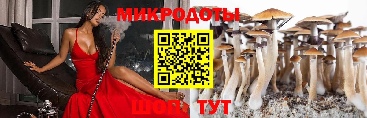 Галлюциногенные грибы Cubensis  Псилоцибиновые грибы мухоморы  Вход с VPN  дарнет шоп  Саянск 