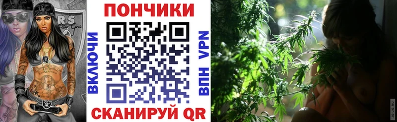 Конопля гибрид  Саянск 